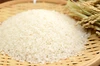 《白米》信州産 特別栽培米『縁結び』大粒の品種です！令和4年産