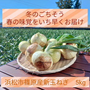 冬のごちそう！野菜ソムリエサミット銀賞【新玉ねぎ】5kg