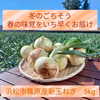 冬のごちそう！野菜ソムリエサミット銀賞【新玉ねぎ】5kg