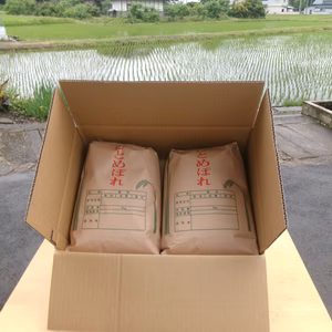 【令和5年度】「ひとめぼれ2袋10kg」（食べてくなんせ）