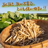 そのまま調理OK!!香り豊か色白柔らかごぼう
