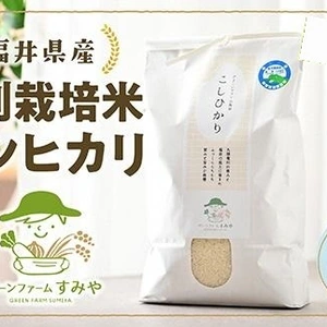 【令和5年産】毎日おいしく特別栽培コシヒカリ白米
