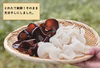 国産！オーガニック乾燥きくらげ20g×4袋セット白・黒　
