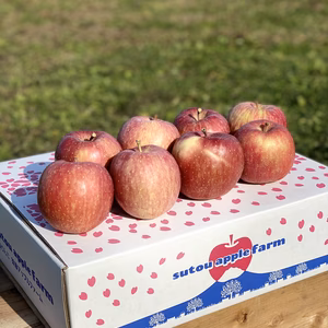 甘み、酸味、食感最高！葉とらず弘前ふじ。訳あり。干しりんご付き