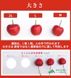 減農薬栽培　美味しいさくらんぼをさくらんぼ農家がセレクト！品種おまかせコース