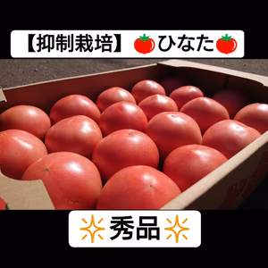 【10月初旬まで】大人気!!!大玉トマト *秀品* 4㎏箱