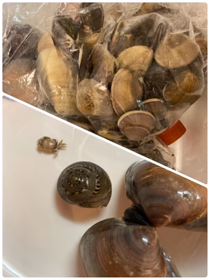 みんなの投稿の画像