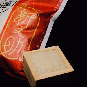 【新米！】令和6年 新潟産 新之助【循環型農業】