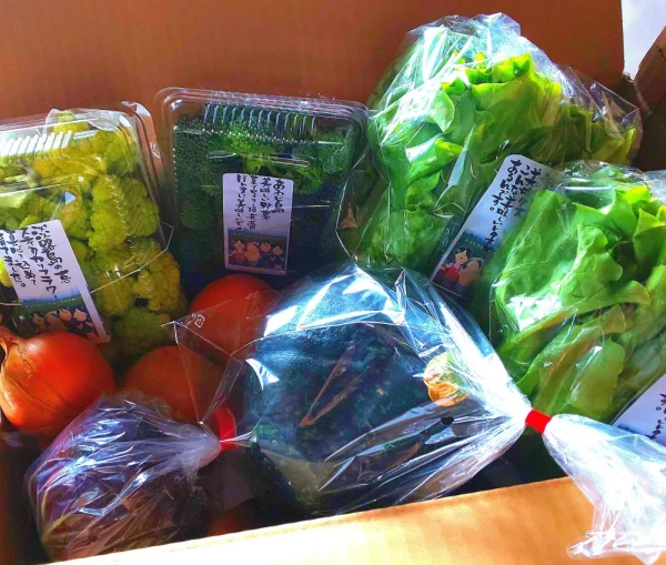淡路島のおまかせ野菜セット5キロ箱(クール便)