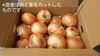 【期間限定】佐賀県江北町産高品質玉ねぎ【こうふく玉】10kg