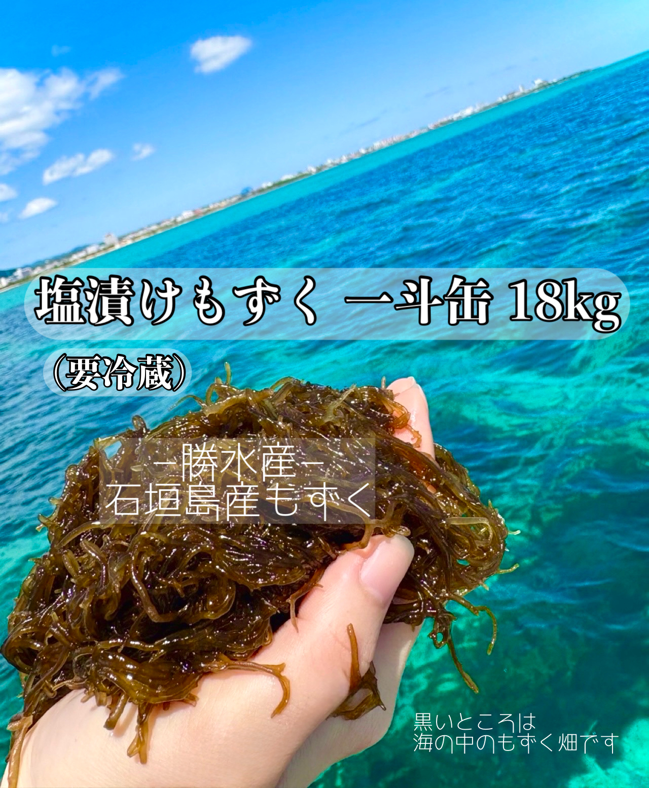 2025年度沖縄県石垣島産もずく一斗缶18㎏ 要冷蔵【お得用