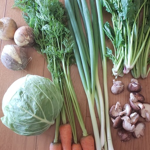 旬の京野菜産直セット