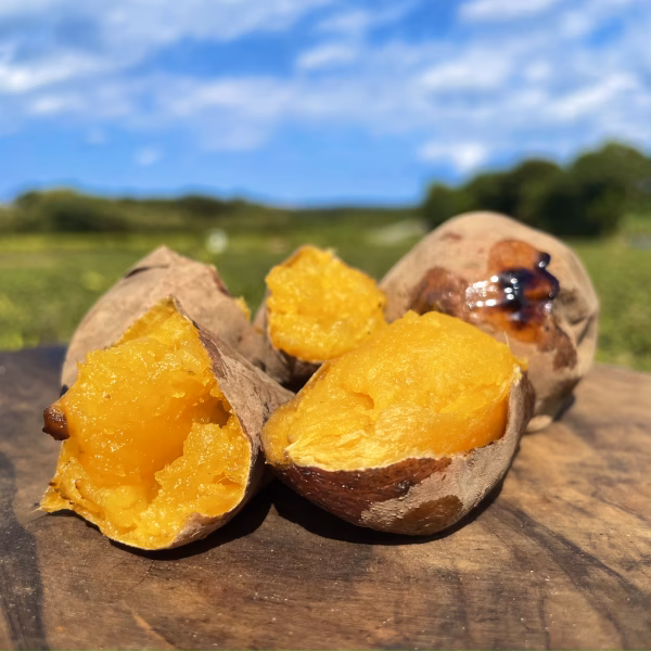 【絶品】種子島産 安納芋 2S&S 混合サイズ｜aimo農園