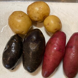 那須高原のじゃがいも3種食べ比べ♪黄色・紫・ピンク 計1.8kg