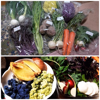 みんなの投稿の画像