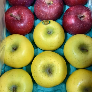 4-23＆シナノゴールド秀3キロ【超希少品種と王道のコラボ！】