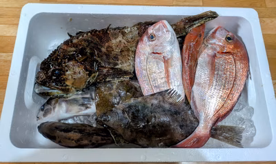 みんなの投稿の画像