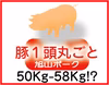 旭山ポーク生肉 丸ごと1頭買い 三元交配豚 送料込み