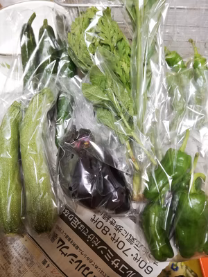 みんなの投稿の画像