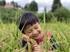 新米【4kg紙袋包装】ササシグレ 農薬と化学肥料を使わない栽培 弱アルカリ性の米