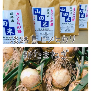 【お母さん遅くなってごめん企画！】淡路島新たまねぎ（5キロ）・お米（玄米5キロ）