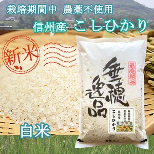 【新米】《白米》信州産 農薬不使用米 こしひかり 令和4年産