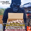 幻の黄金じゃがいも　インカのめざめ５kg