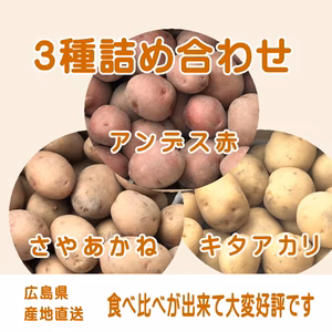 ほくほく系大集合【 3種類詰合せセット 】やみ付きになるかも