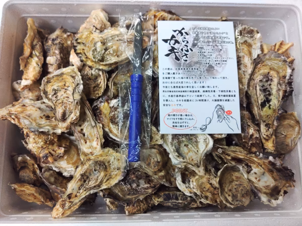 【お買い得商品】・不揃いバラ牡蠣　