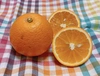 『福原オレンジ』日本生まれのオレンジ！