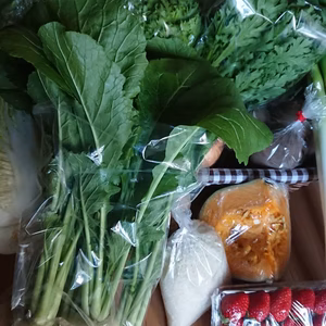   【13品以上が届く?!】たっぷり旬やさいセット