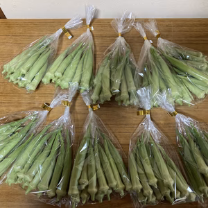 【愛知県知多郡】八丈オクラ（固定種）500g 1kg 