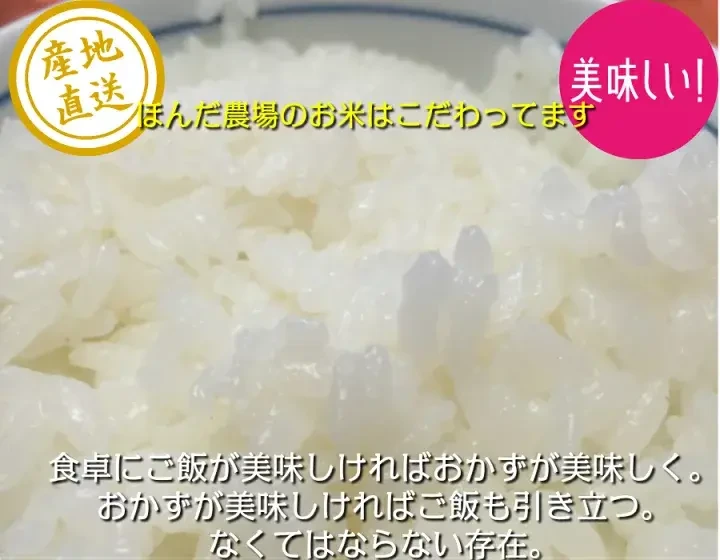 令和5年産 新米 2〜5kg コシヒカリ 『自然の恵』特別栽培米