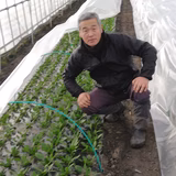 伊藤博之 | いせや農園　伊藤　博之