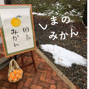[瀬戸内・因島]しまのみかん