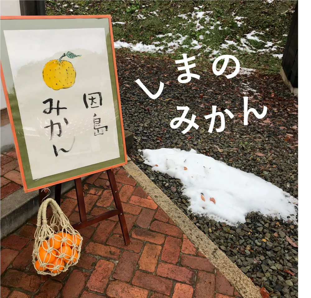 [瀬戸内・因島]しまのみかん