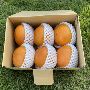 10月下旬から11月上旬発送　太秋柿