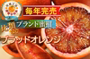 【日テレ出演話題】見つけたら超ラッキー『生ブラッドオレンジ』約1キロ【4月予約】