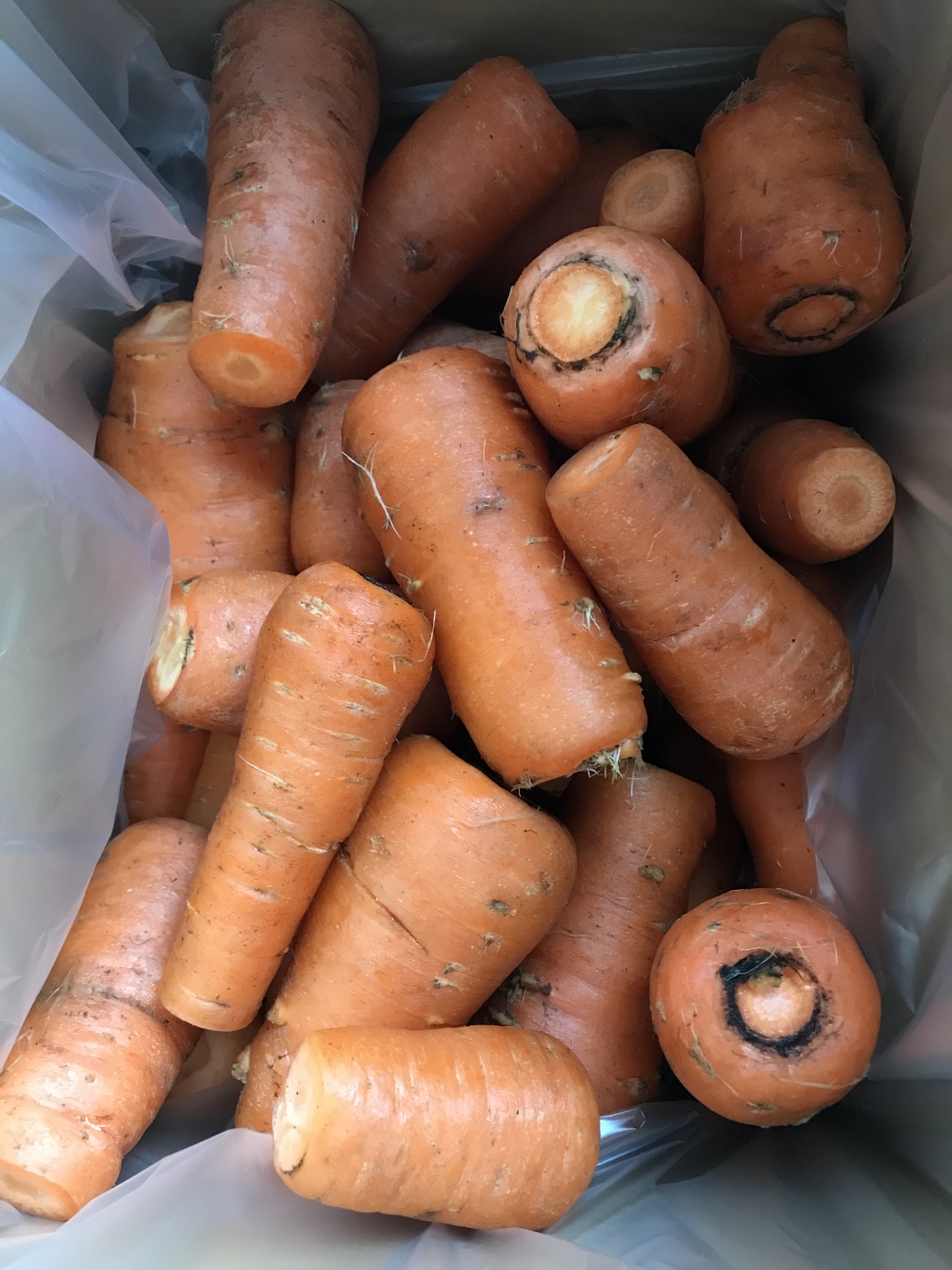 自然農法で育った訳ありにんじん 農家漁師から産地直送の通販 ポケットマルシェ