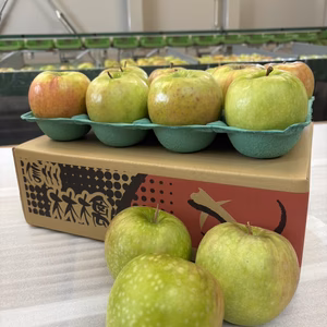 グラニースミス3㎏