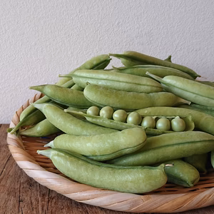 【クール便配送】うすいえんどう(ウスイエンドウ) 和歌山の春をお届けします　　