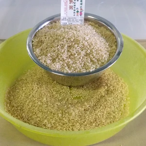 2021年産ガバレ農場のお米　『彩のきずな』玄米
