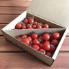人気の2種類欲張りセット1kg★トマトベリー★スイートメロウ★フルーツトマト