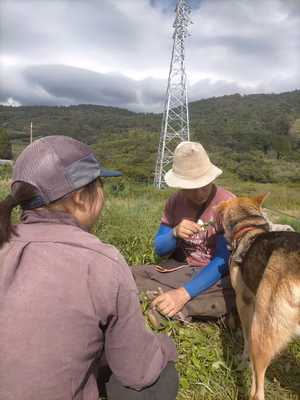 みんなの投稿の画像