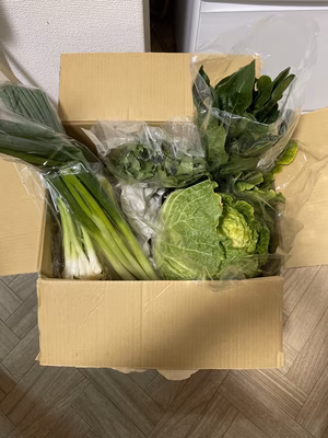 みんなの投稿の画像