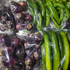 丸ナス、キュウリ、アマトウガラシ