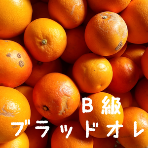 B級品 異国の香り ブラッドオレンジ（タロッコ）　