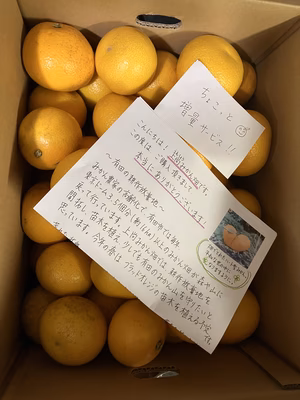 みんなの投稿の画像