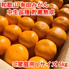 【ご家庭用・中生品種・Ｌサイズ】和歌山有田産みかん≪5㎏≫　★１月７日以降発送