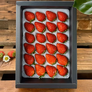 24粒たっぷり大満足